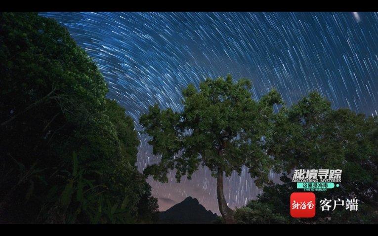爸妈和马斯克很像，其实他们就此收手，赚到的钱够子孙后代用了
