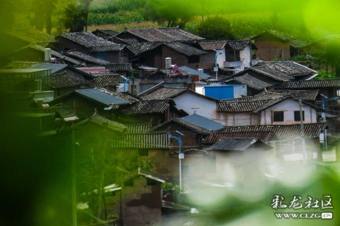 为什么手机无信号还可以打紧急电话？游戏画面