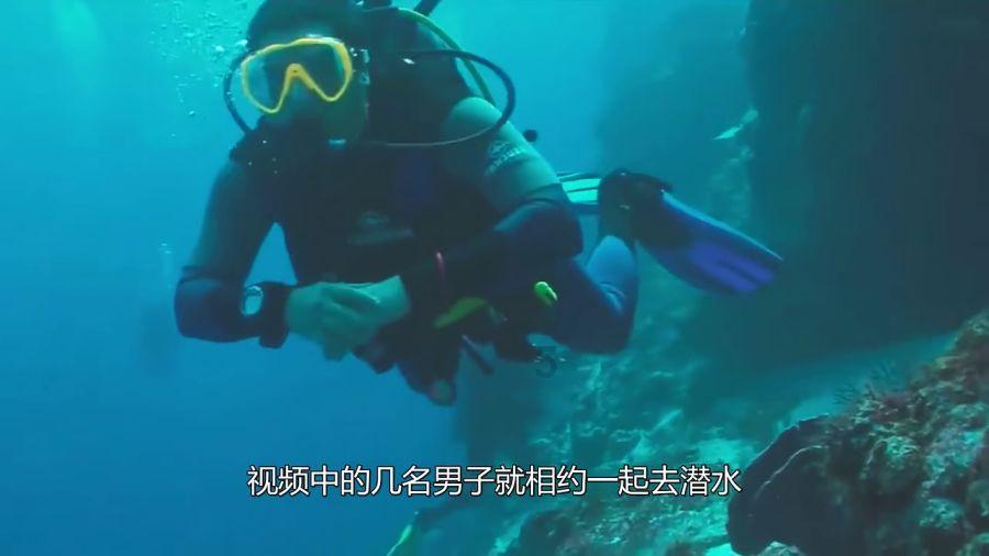 景甜穿粉白拼接套装，要多可爱有多可爱，这一身穿搭很少女风哟